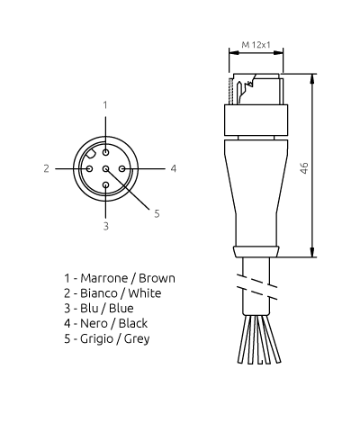 CJS1 - Image 2