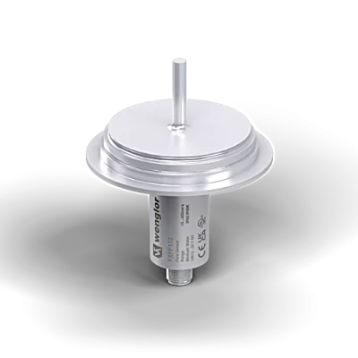 FXFF113 Flow Sensor 2 × Analog Output