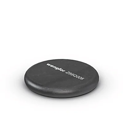 Z89Q006 RFID Transponder