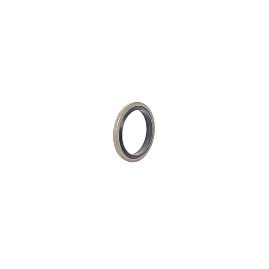 ZH5G001 Seal