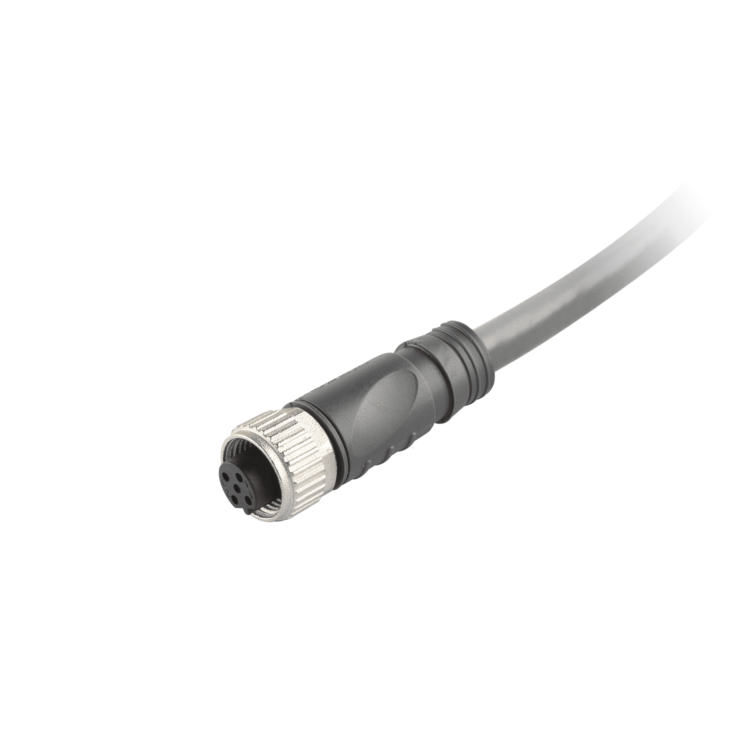 DND22D-M005 DeviceNet Cordset